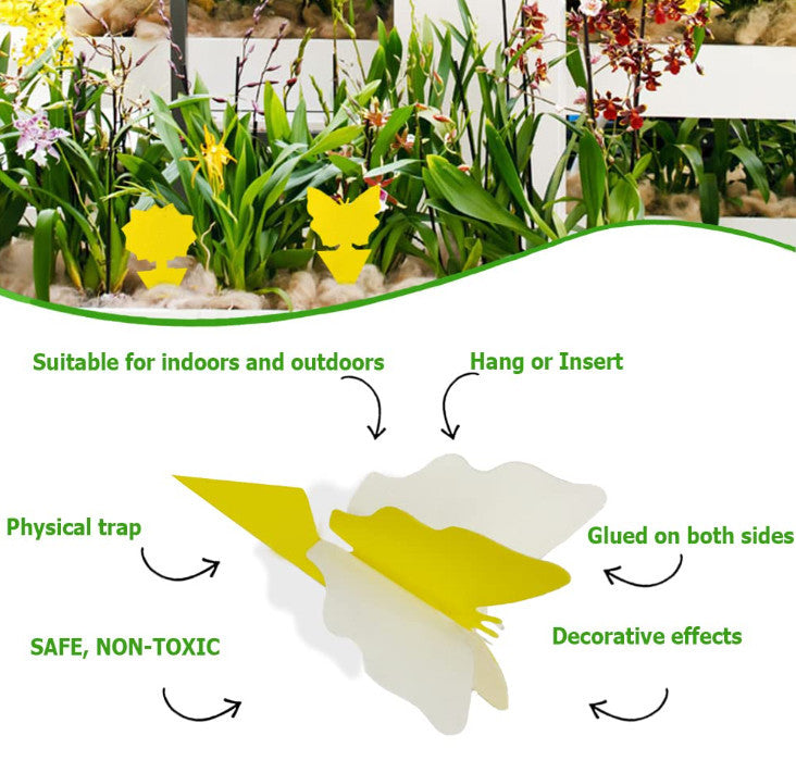 20pcs Fruit Fly Traps Insects Bugs Catcher Sticky Waterproof Fungus Gnat Killer