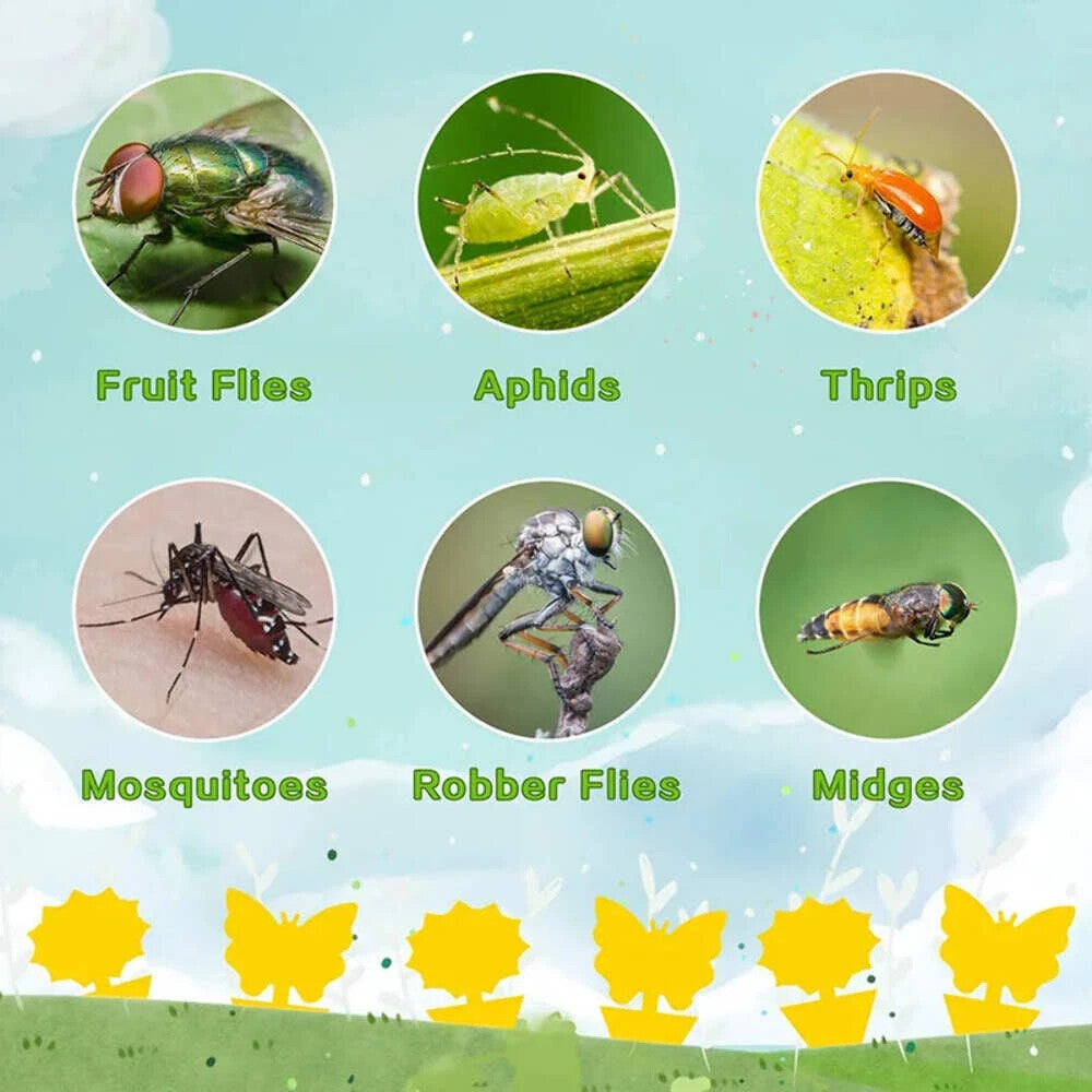 20pcs Fruit Fly Traps Insects Bugs Catcher Sticky Waterproof Fungus Gnat Killer